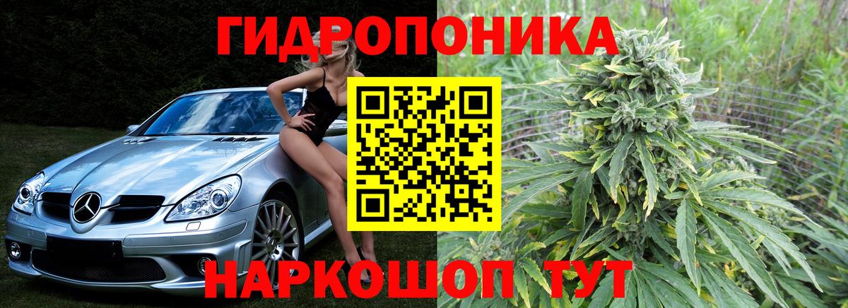 Михайловка  Каннабис OG Kush  Вход с VPN  Бошки марихуана марихуана  Марихуана планчик  Конопля Amnesia 